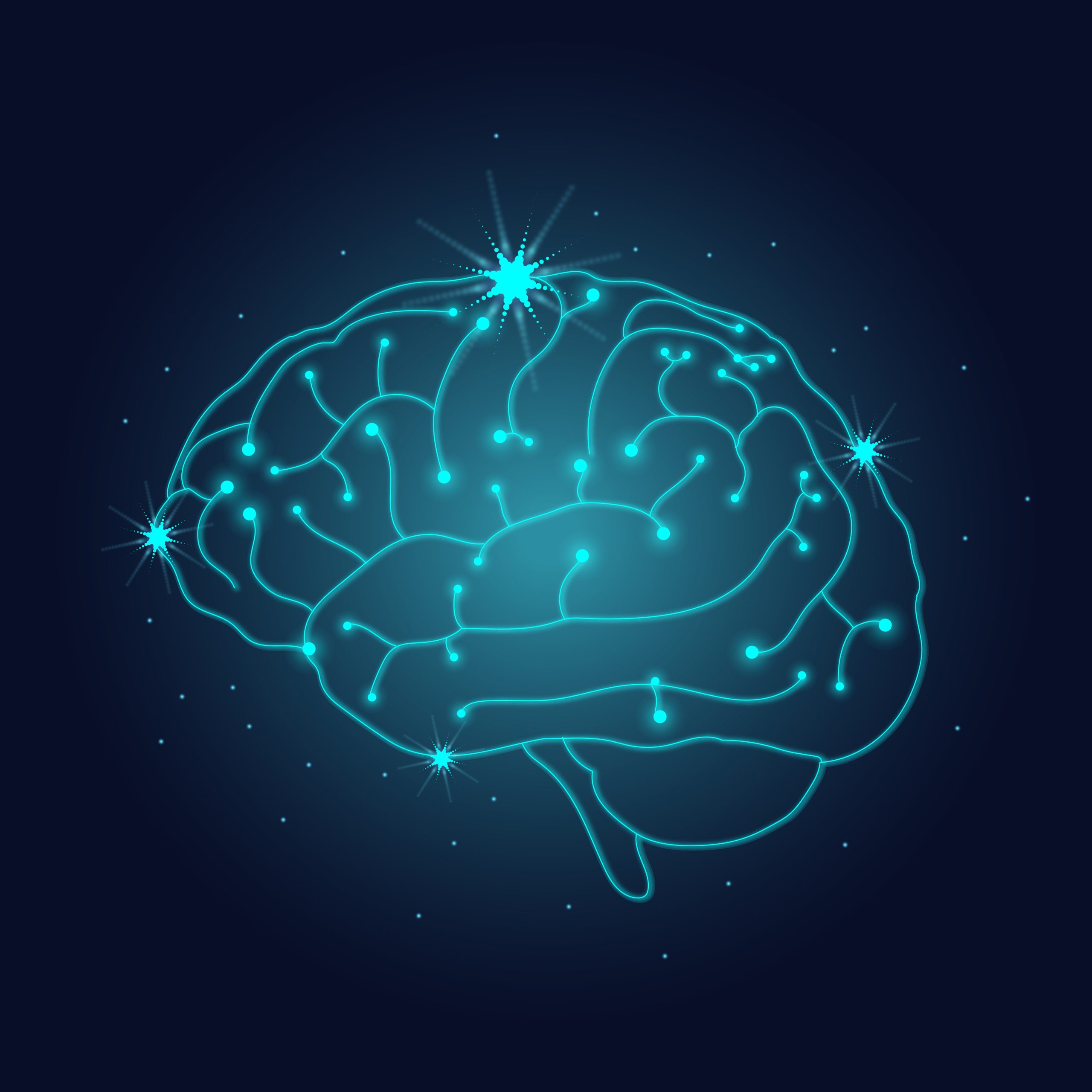 Brain